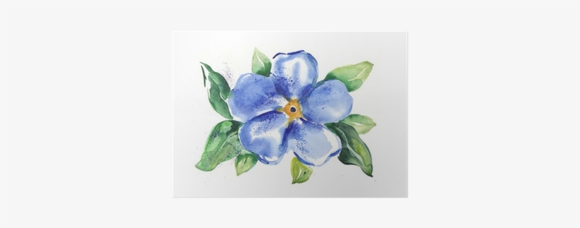 Vergissmeinnicht Bild Aquarell, transparent png