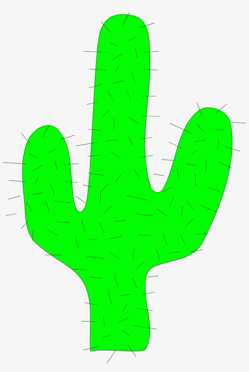 Cactus, transparent png