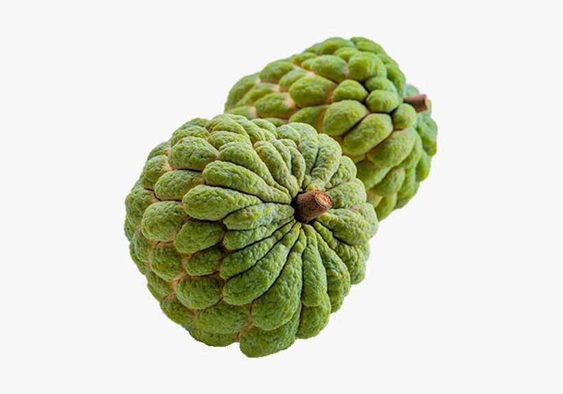 Sugar Apple Png Image Transparent - Custard Apple Fruit Png, transparent png