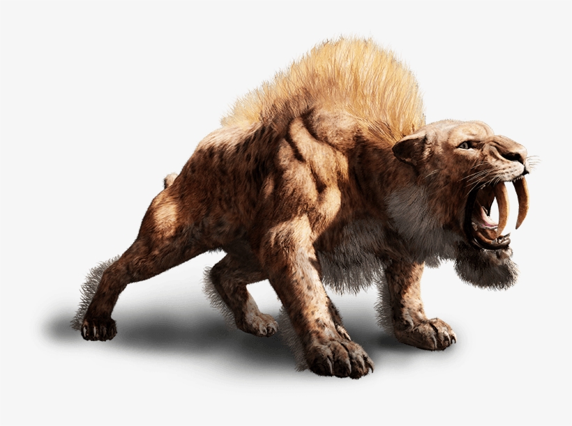 A World Ruled By Deadly Beasts - Farcry Primal Sabertooth Skull, transparent png