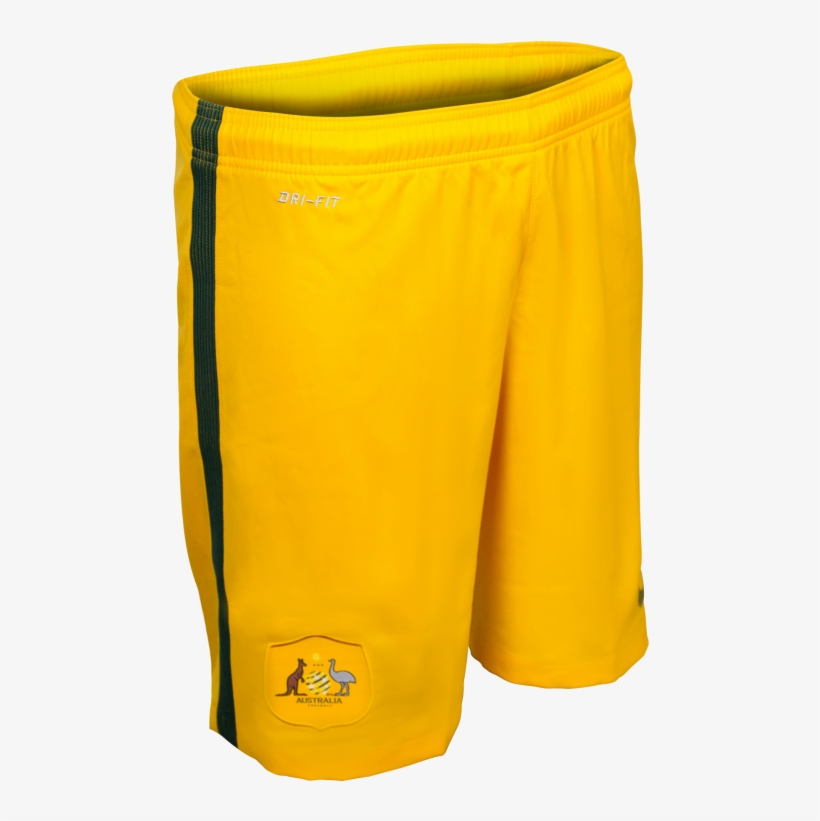 Board Short, transparent png