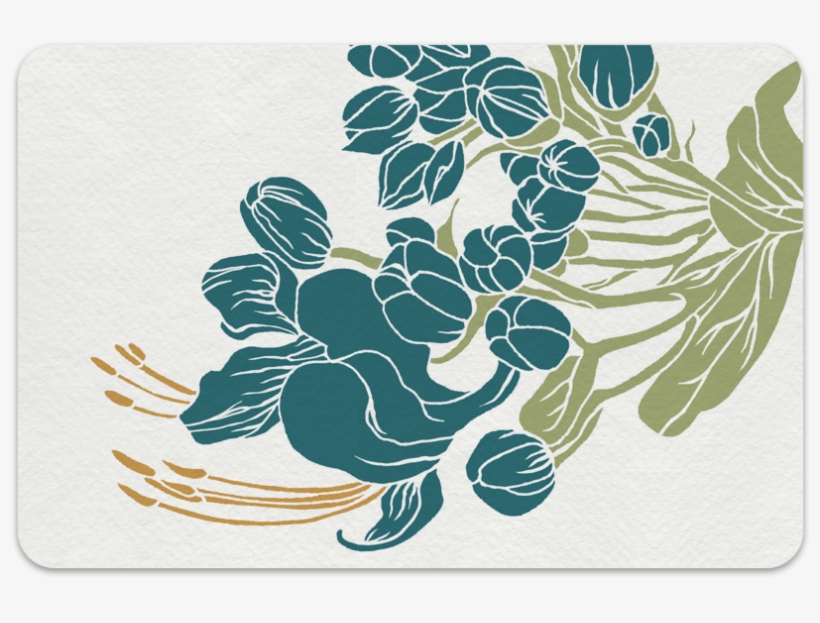 Revised Bbg Postcards With Drop Shadow - Hibiscus, transparent png