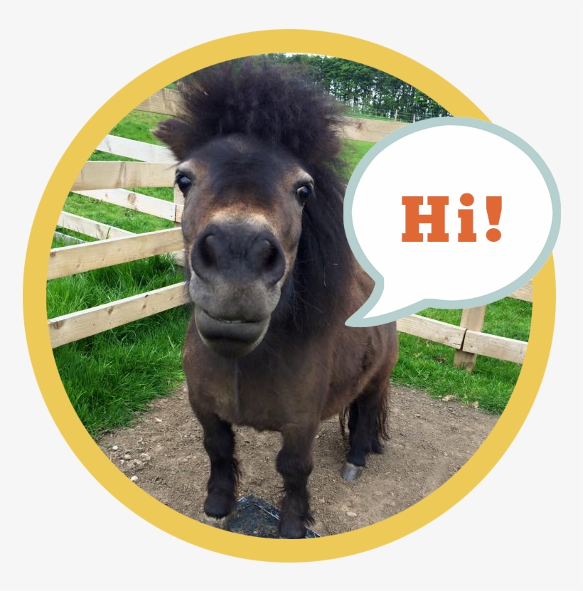 Little Alf Says Hello - Burro, transparent png