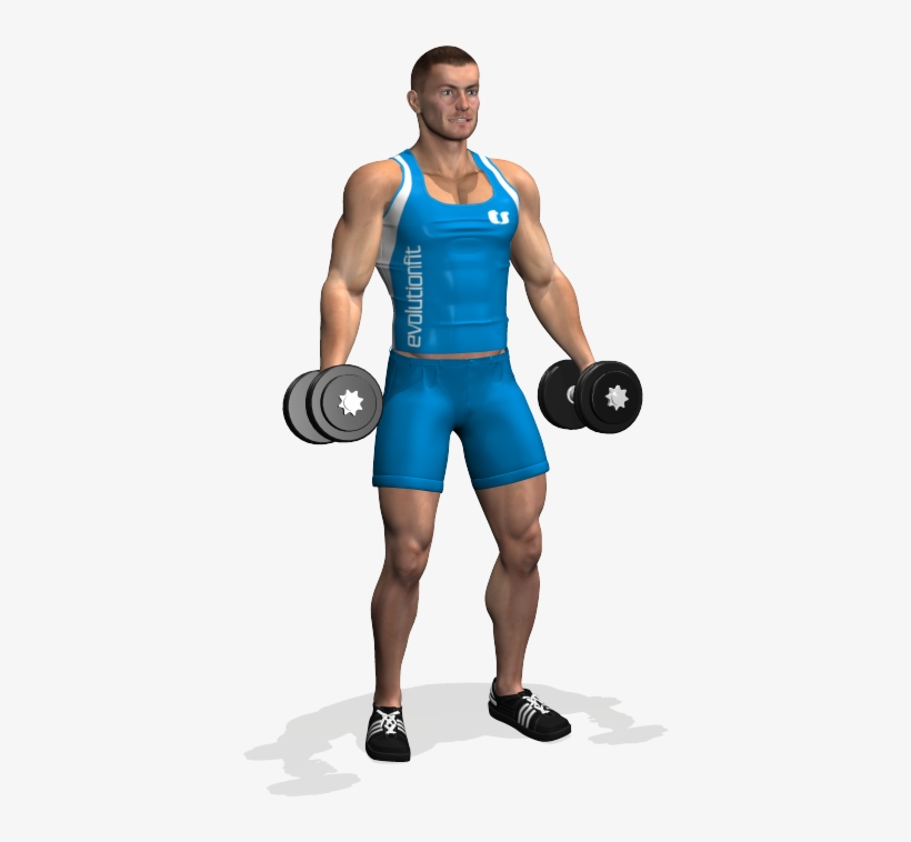 This Is And Essential Exercise For Biceps, It Develops - جلو بازو دمبل تک تک ایستاده, transparent png