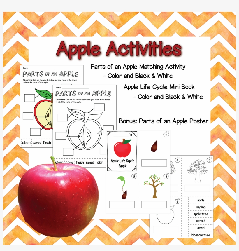 Product Preview Science Resources, Learning Resources, - Wedding Invitation, transparent png