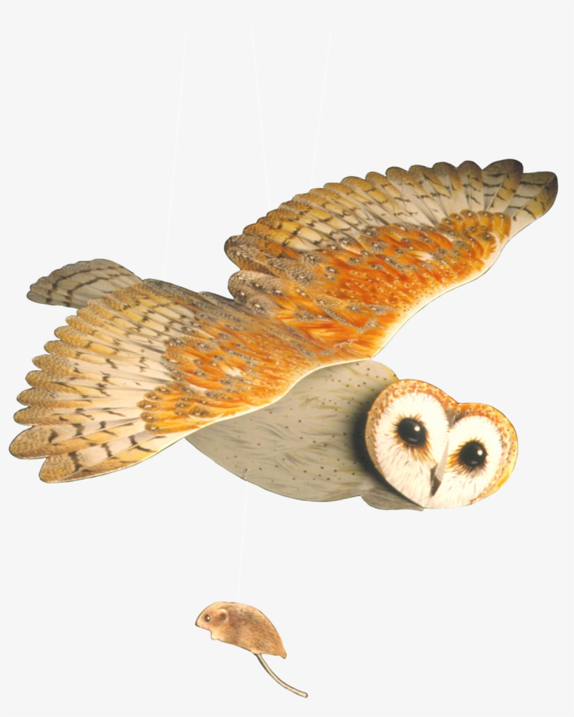 Barn Owl Mobile - Barn Owl, transparent png