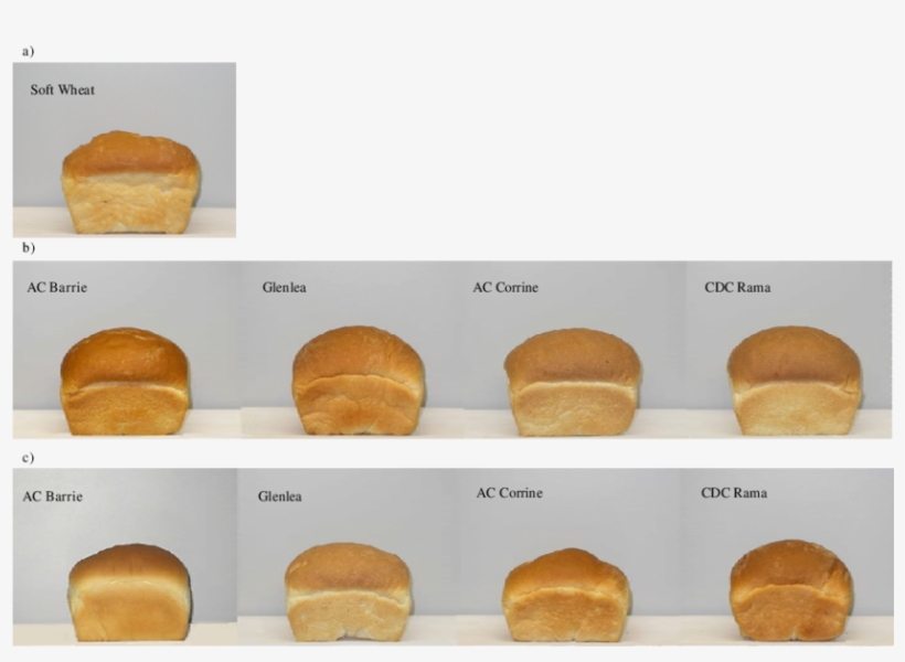 Breads Prepared From A) Soft Wheat Flour, B) Blends - Fast Food, transparent png
