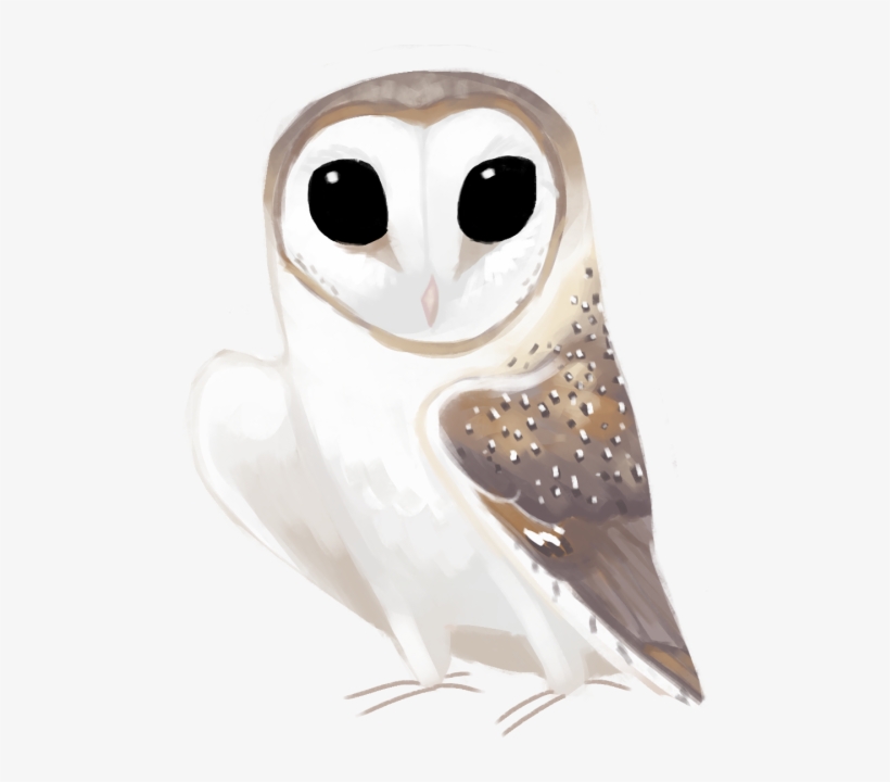 Eastern Barn Owl Tyto Delicatula - Barn Owl, transparent png