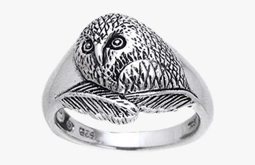 White Bronze Barn Owl Ring - Titanium Ring, transparent png
