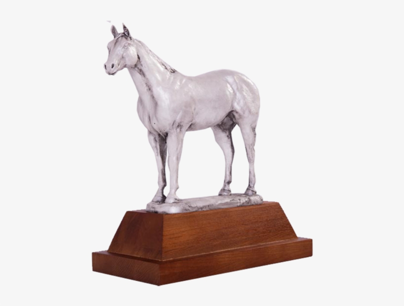 Arc2-b1 Horse Trophy Series - Statue, transparent png