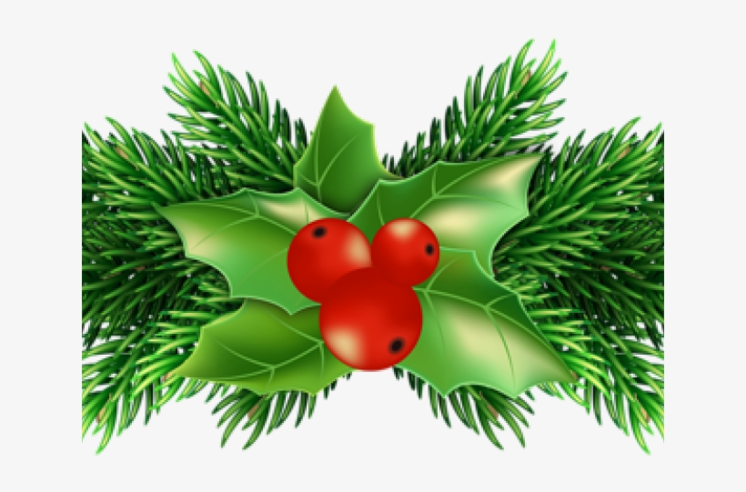 Pictures Of Christmas Holly - Christmas Holly Png Transparent, transparent png