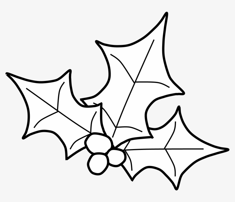 Holly, Berries, Leaves Spread, Black And White, Png - Sketch, transparent png