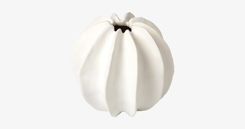 Pumpkin, transparent png
