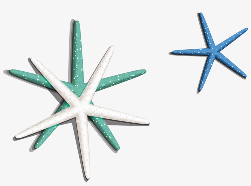 Sea Star Png Image - Starfish, transparent png