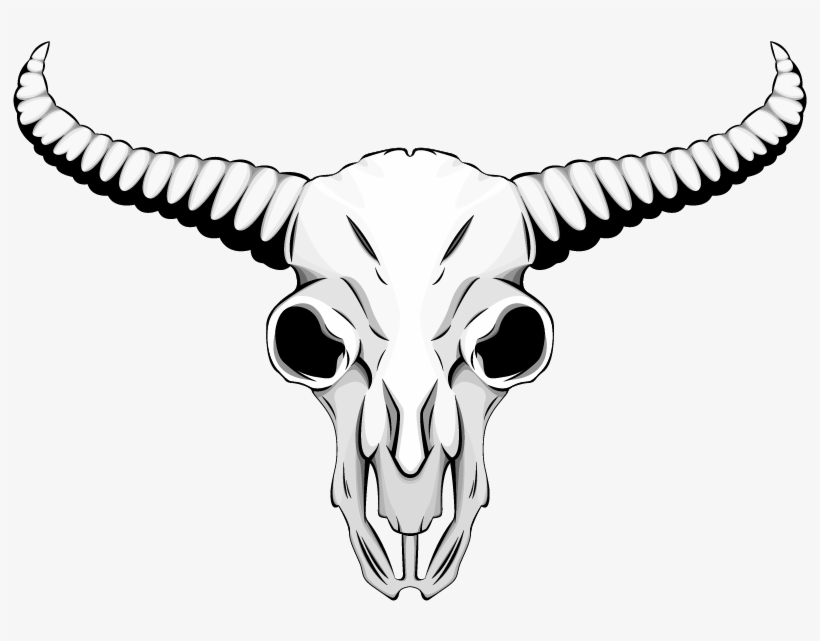 The Skulls - Skull, transparent png