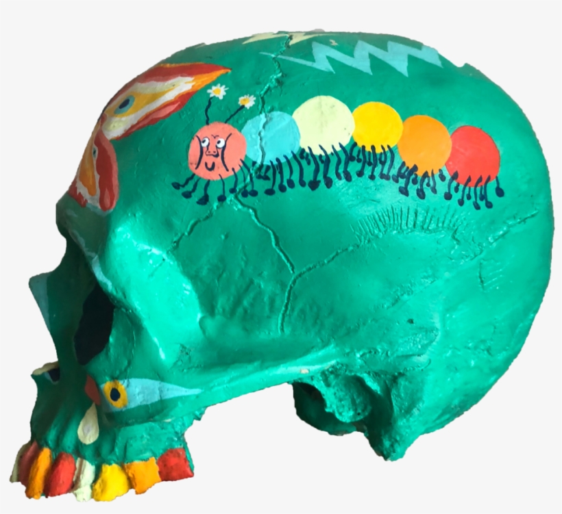 Skull, transparent png