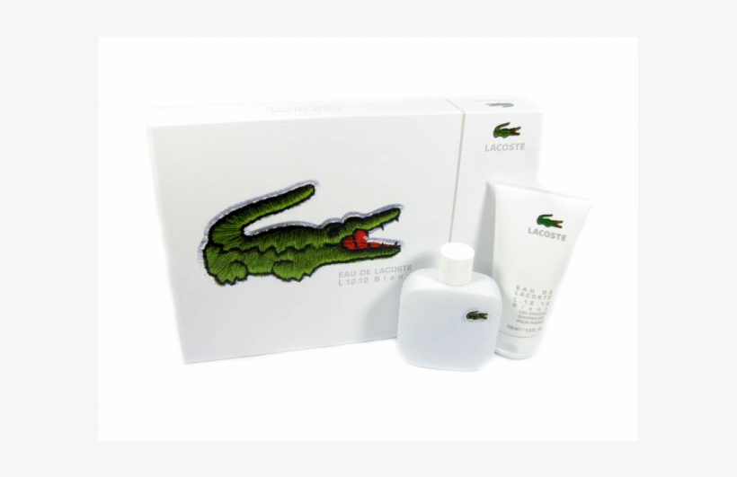 Alligator, transparent png