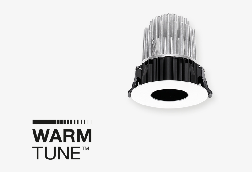 Vos R-wt - Fluorescent Lamp, transparent png