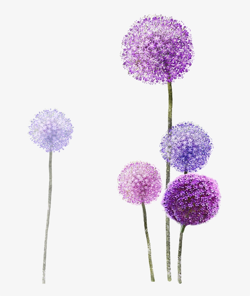 Dandelion Spa Is The Yard Where You Meet Your Wind - Flower Purple Painting Png, transparent png