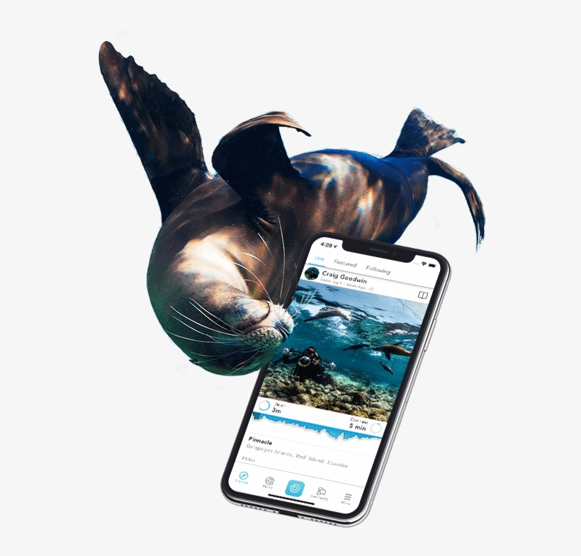 Deepblu Dive Logs How To Record Dives On Deepblu - Smartphone, transparent png