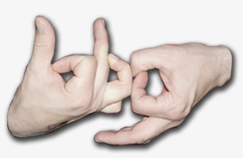 Blog-gang - Human, transparent png