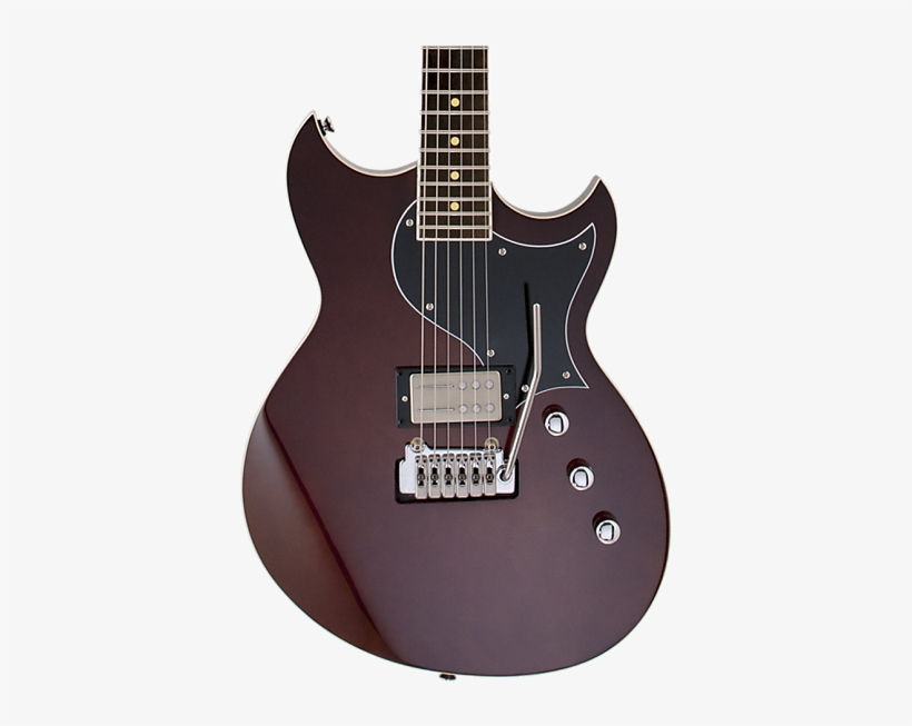 Reverend Sensei Ra, transparent png