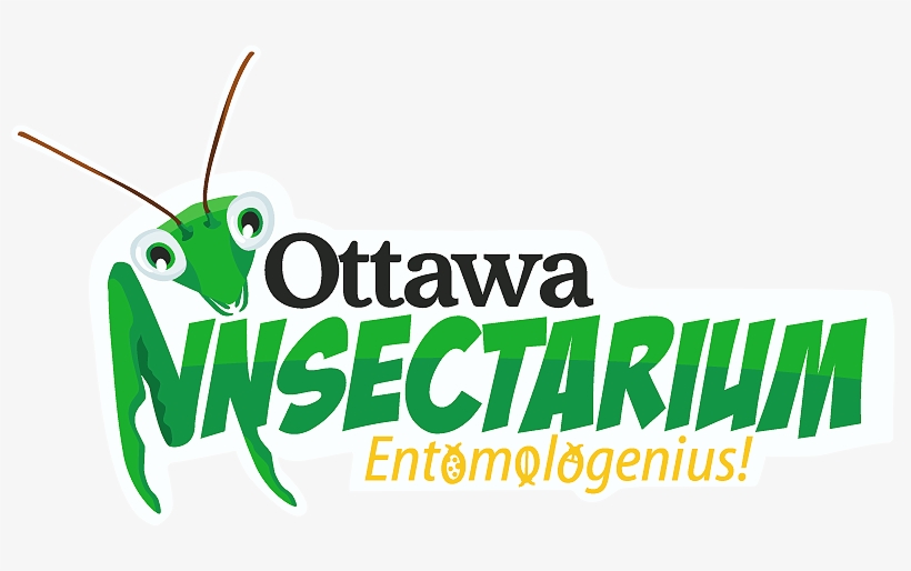 Upcoming Events - Ottawa Insectarium, transparent png