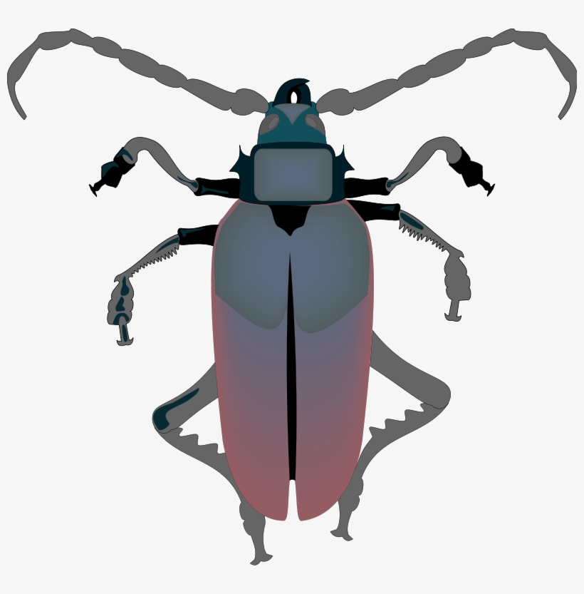 Free Vector Insect - Vector Insect Gif, transparent png