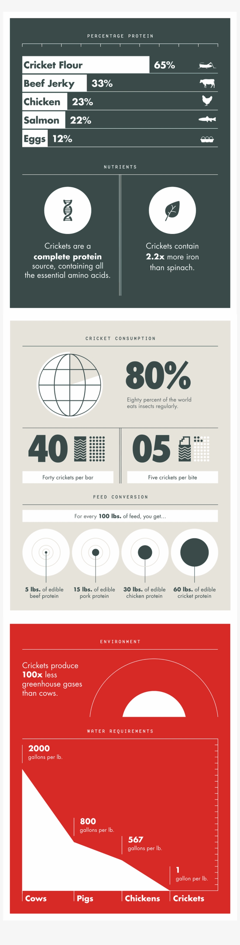 Why Cricket Protein Is Awesome - Infographic Cricket Consumption, transparent png
