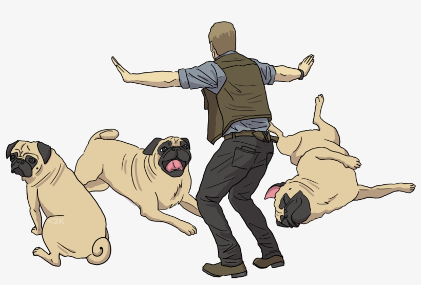 Did You Know That Chris Pratt Owns Several Pugs - Dog Yawns, transparent png