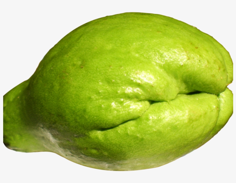 Fresh Chayote Png Image - Squash Chow Chow, transparent png