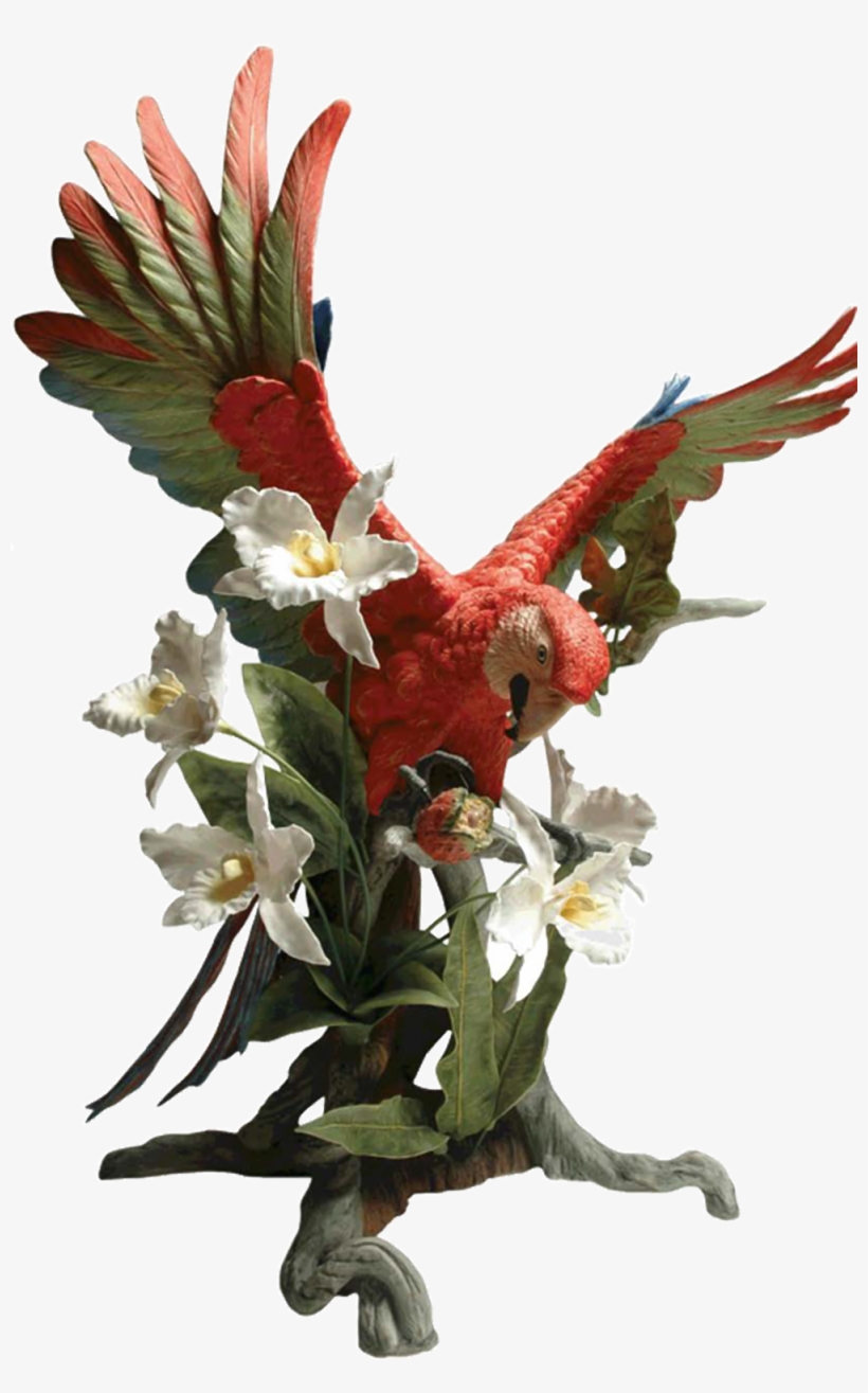 Img, transparent png