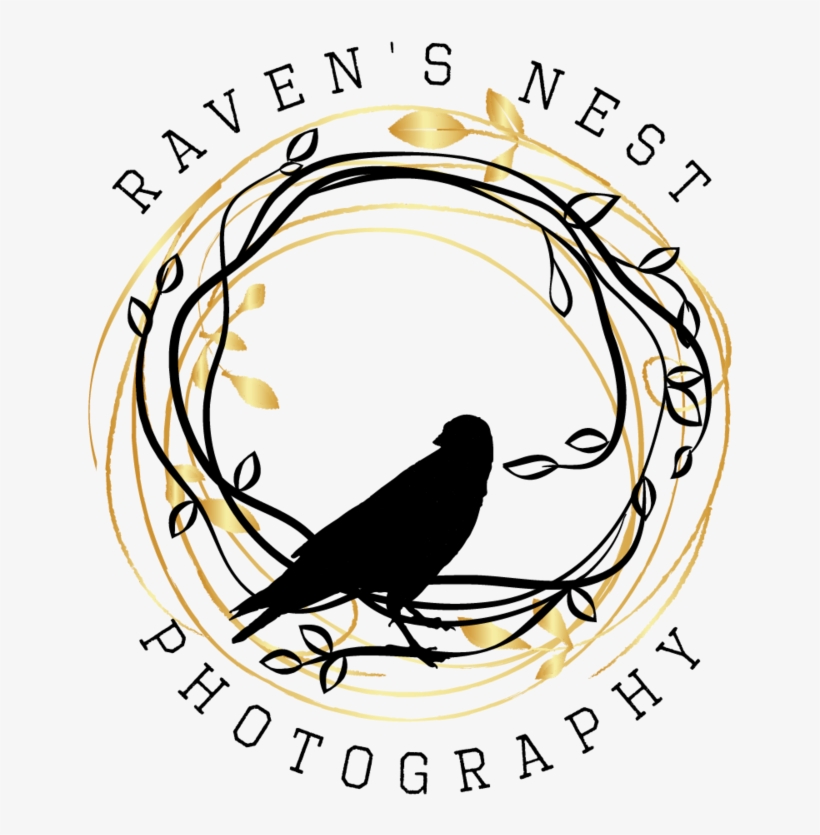 Ravens Png, transparent png