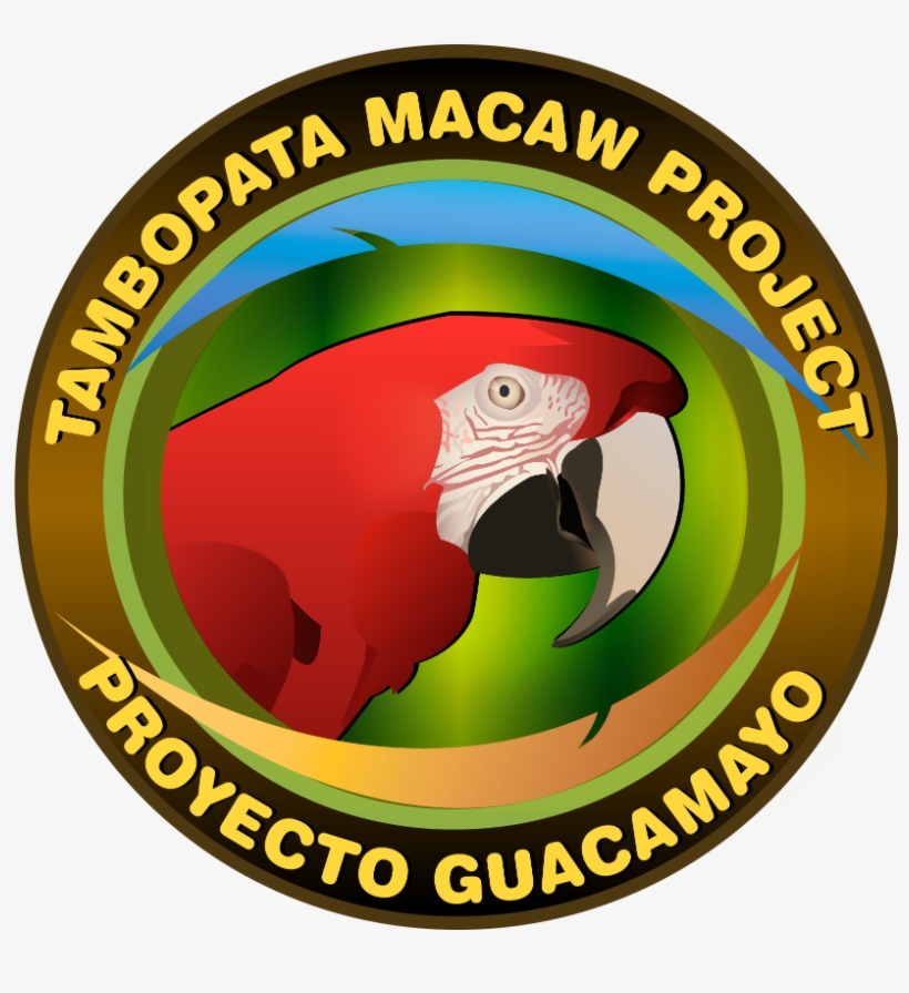 Macaw Project - Marklowice, transparent png