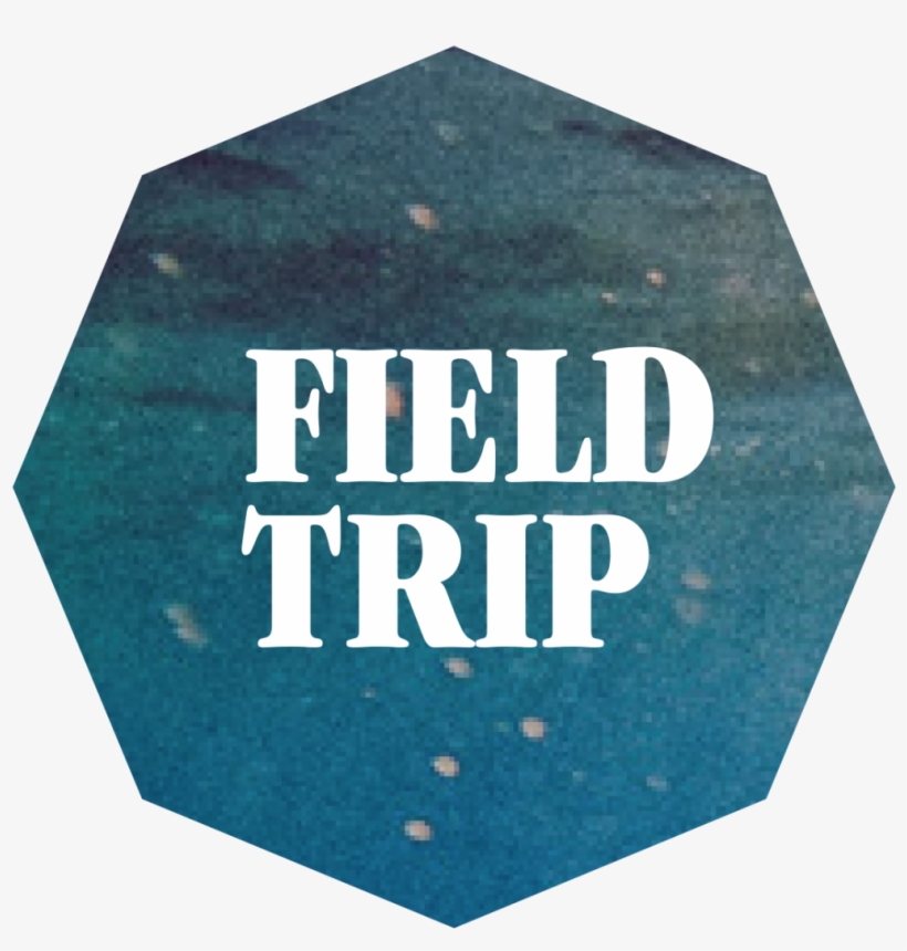 Follow Photo Field Trip On Twitter And Instagram If - Field Trip Clear Background, transparent png