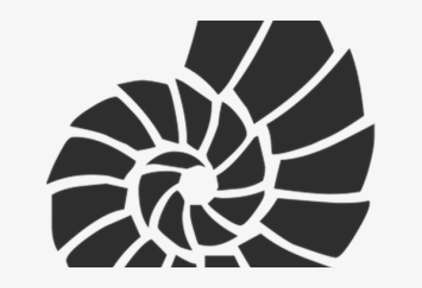 Free On Dumielauxepices Net - Seashell Border Stencil, transparent png