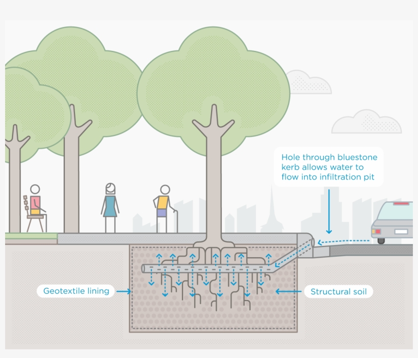 The Infiltration Trench In Burston Reserve Captures - Water Sensitive Urban Design Network, transparent png