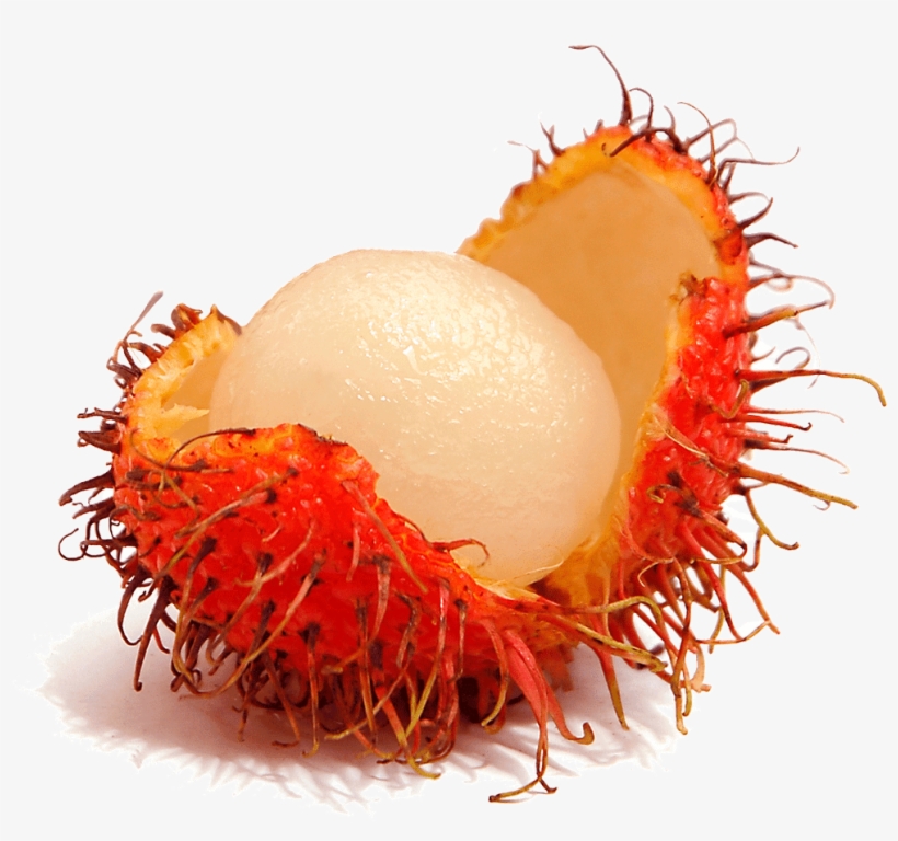 Cashew Clipart Cute - Rambutan With No Background, transparent png