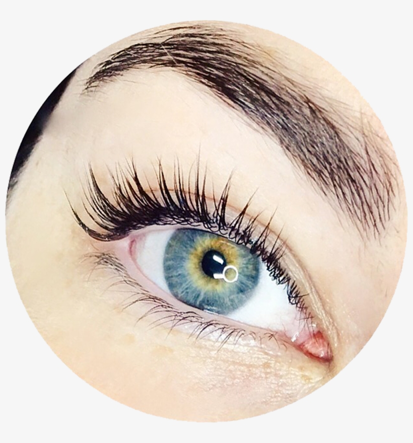 800 X 800 1 - Eyelash Extensions, transparent png