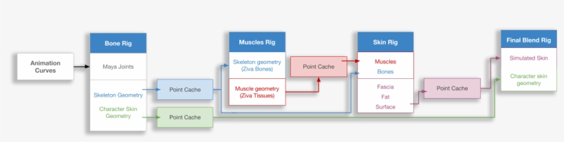 Ziva Characters - Diagram, transparent png