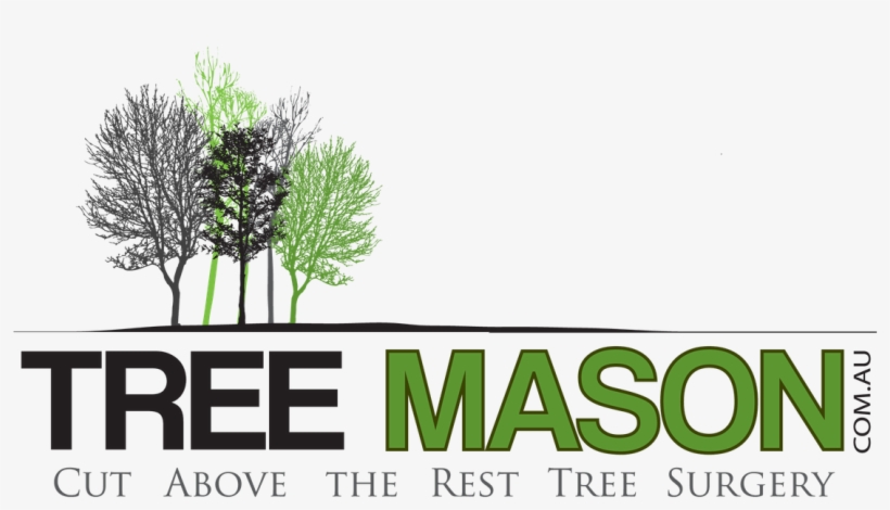 Mason Tree, transparent png