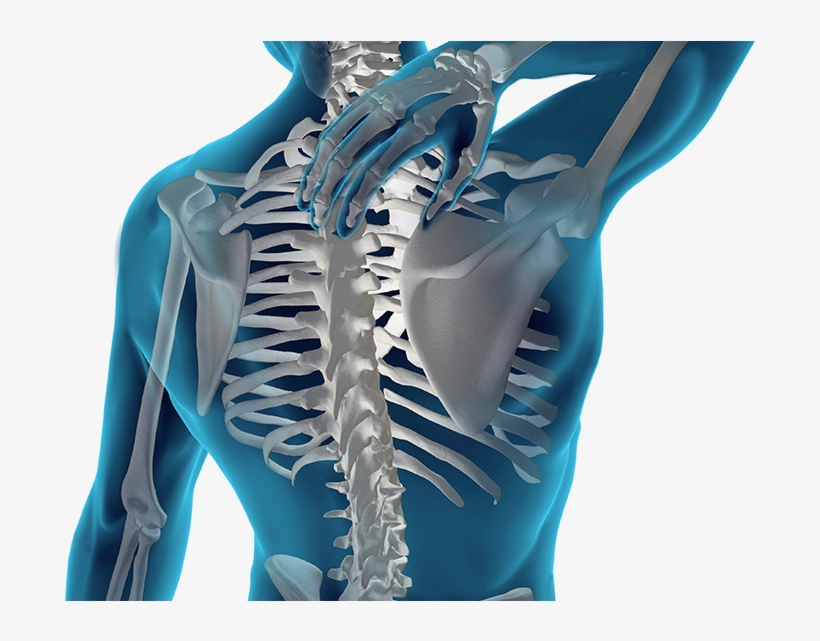 Nervous System Focused Care - Black Chiropractor, transparent png