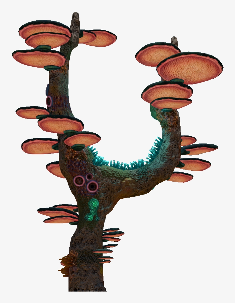 Tree Mushroom, transparent png