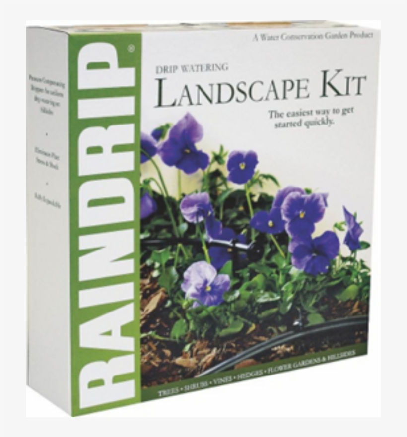 Rain Drip R530dt - Balloon Flower, transparent png