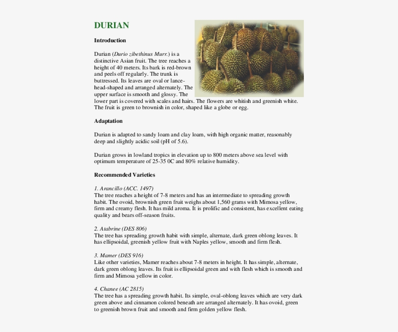 Pdf - Tree, transparent png