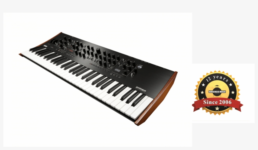 Click Here Check With Us - Korg Prologue Gig Bag, transparent png