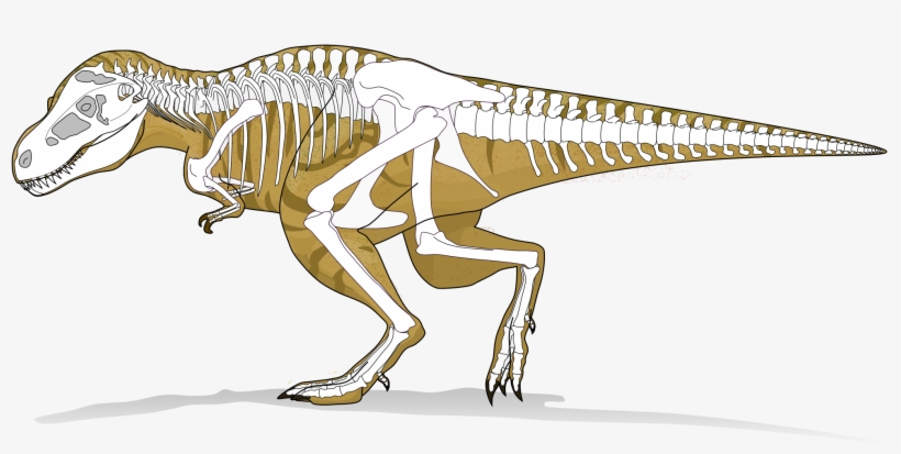 Open - Tyranosaurus Rex, transparent png