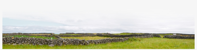 Irish Birthday Gifts - Grass, transparent png