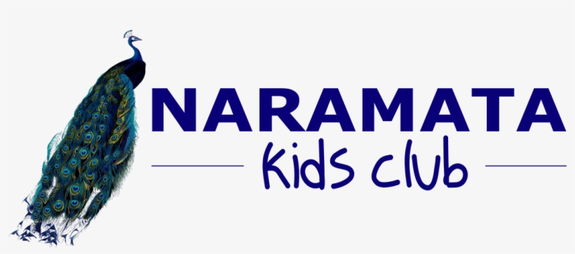 Naramata Before And After School Daycare - Peafowl, transparent png