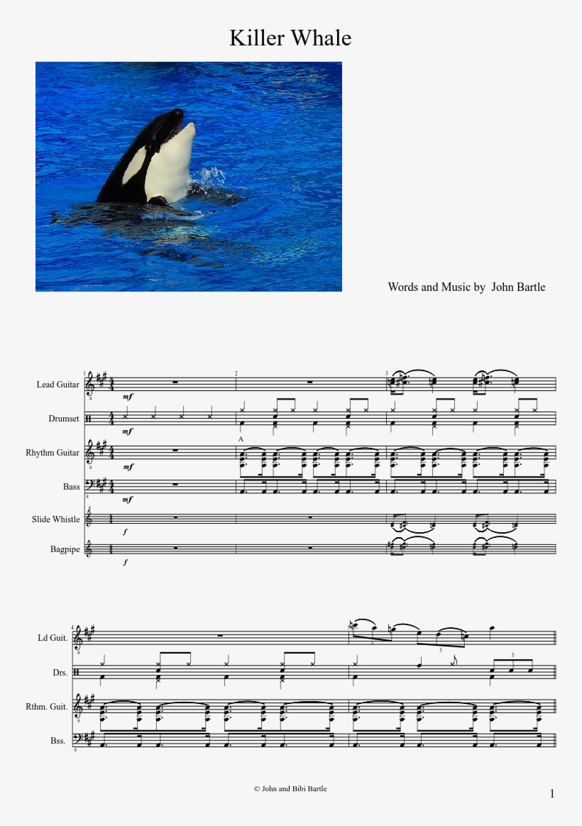 Uploaded On Mar 16, - Killer Whales, transparent png